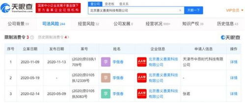 人人车关联公司被限制消费 计算机软硬件开发的挑战与反思
